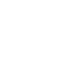 Insurance Repairs White